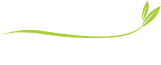 Team Envision logo
